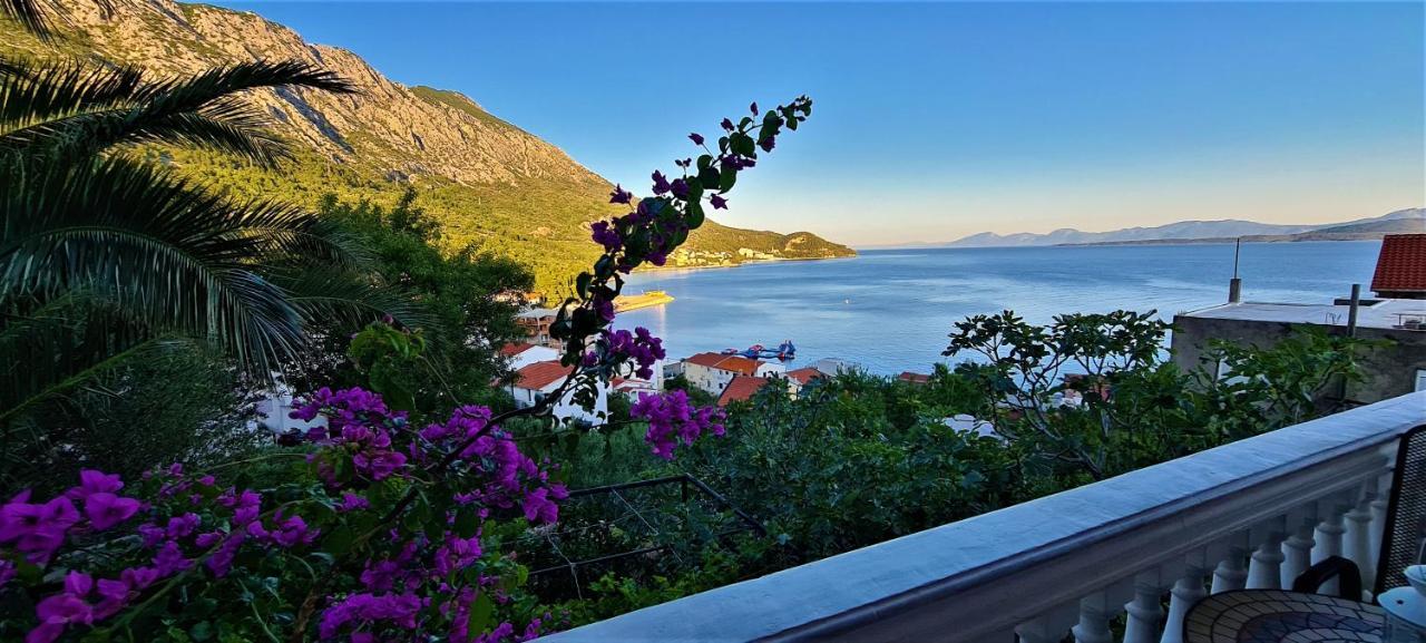 Cosic Apartmani Igrane Buitenkant foto